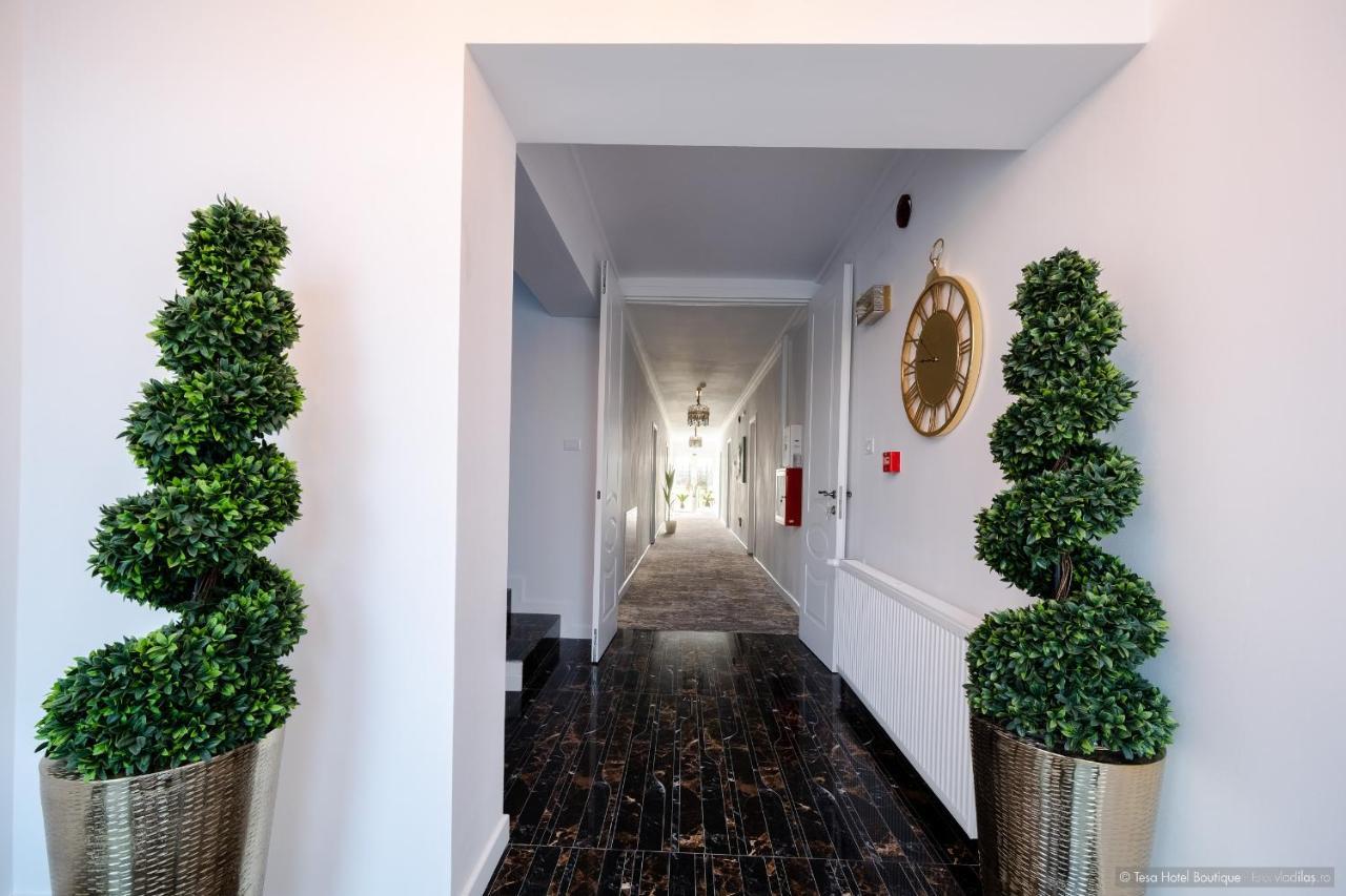 Tesa Boutique Hotel 特尔古尼亚姆茨 外观 照片