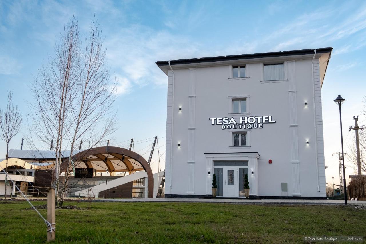 Tesa Boutique Hotel 特尔古尼亚姆茨 外观 照片