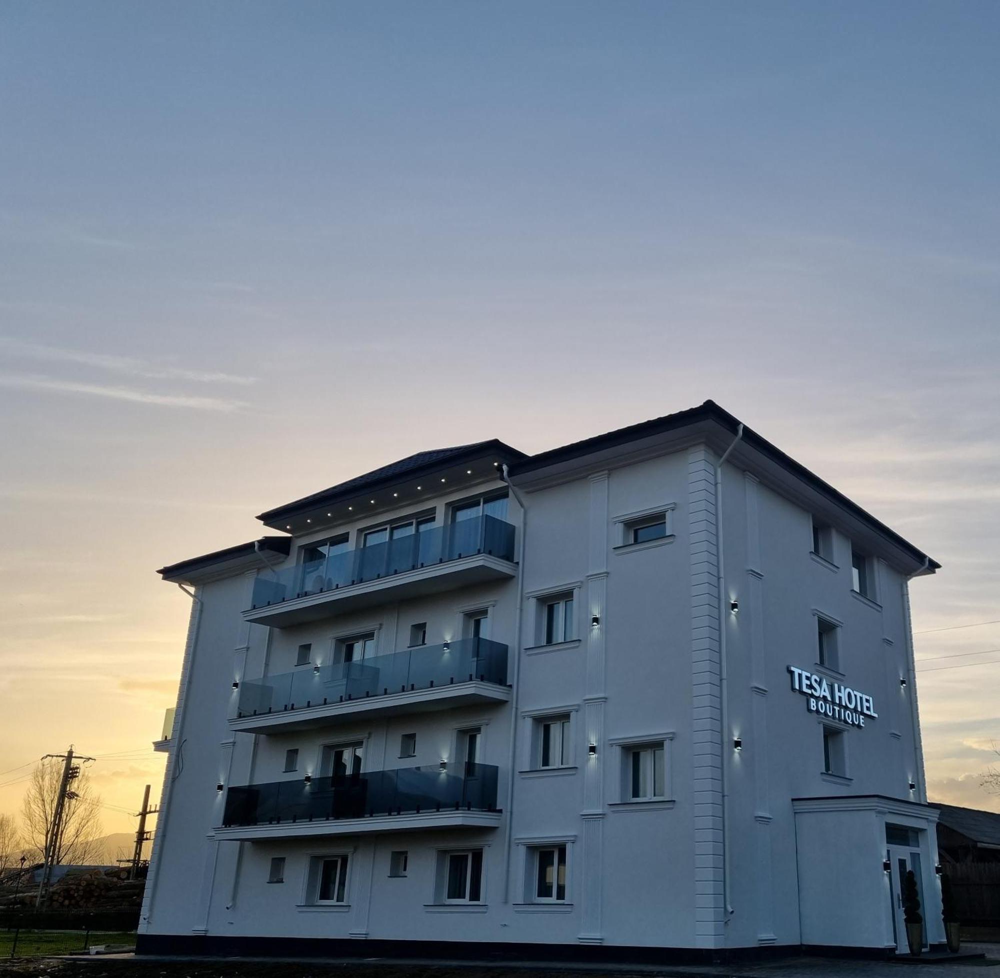 Tesa Boutique Hotel 特尔古尼亚姆茨 外观 照片